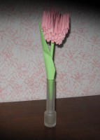 /album/galleria-foto/tulipano-1-jpg1/